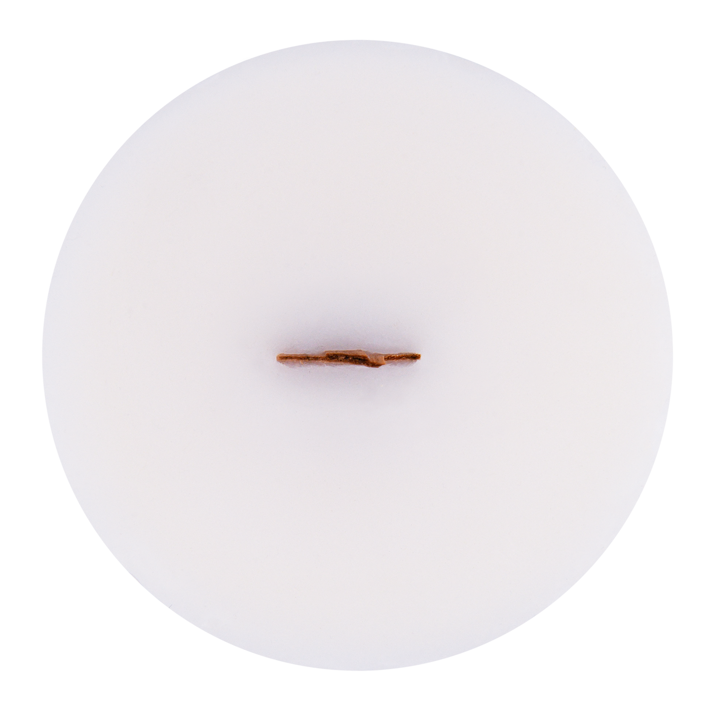Top view of North Shore wick slip—white refill insert scented with teakwood and jasmine