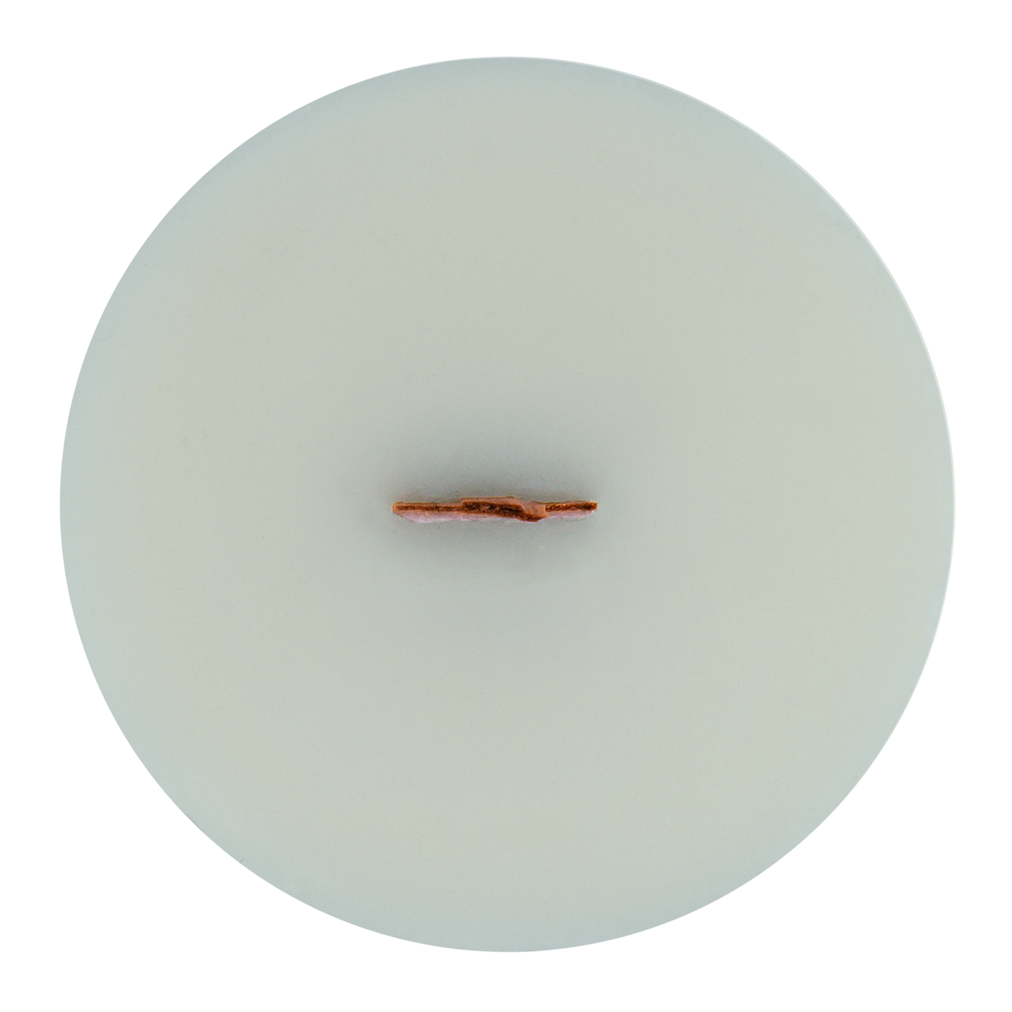 Top view of Eukalele wick slip—green refill insert scented with eucalyptus and spearmint