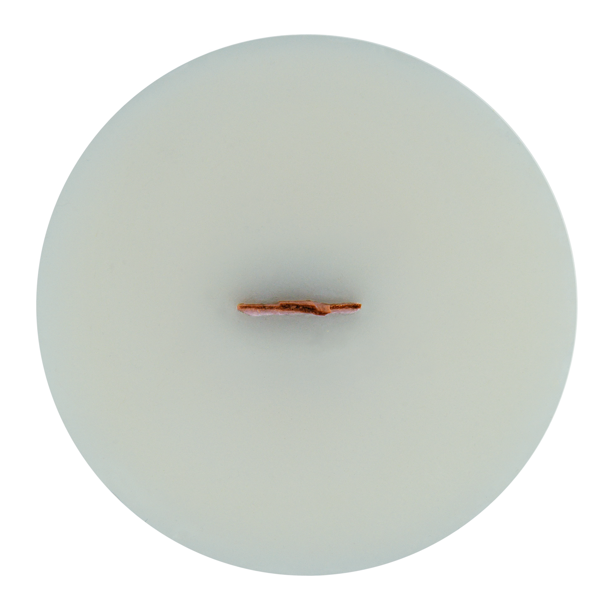 Top view of Eukalele wick slip—green refill insert scented with eucalyptus and spearmint