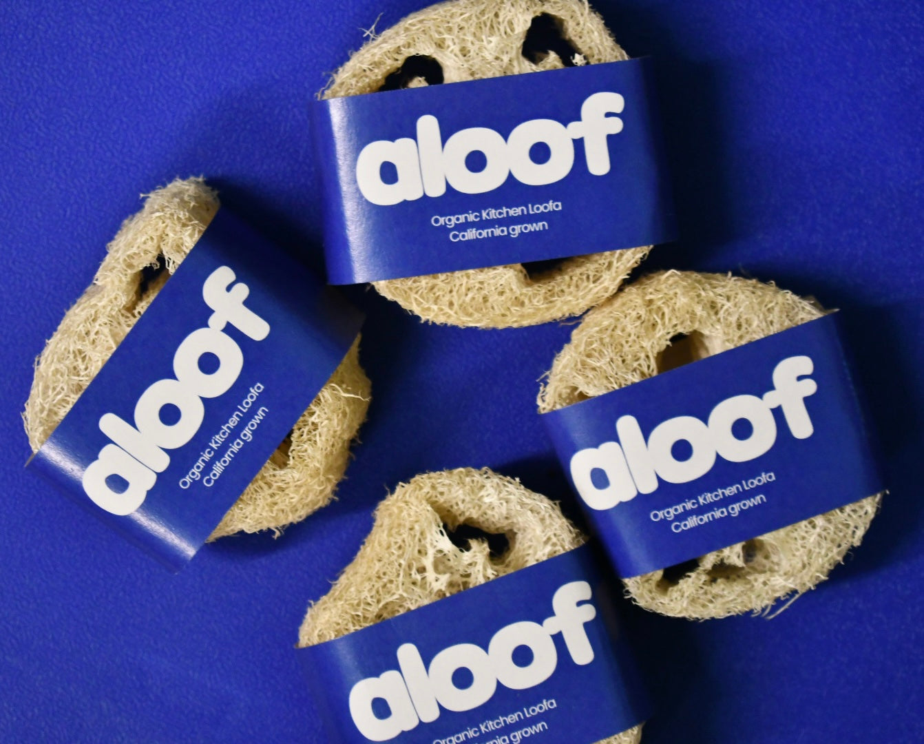 Aloof Sponges